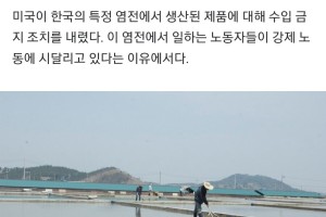 크.. 주모 막걸리 한병주게 feat 한국산 소금