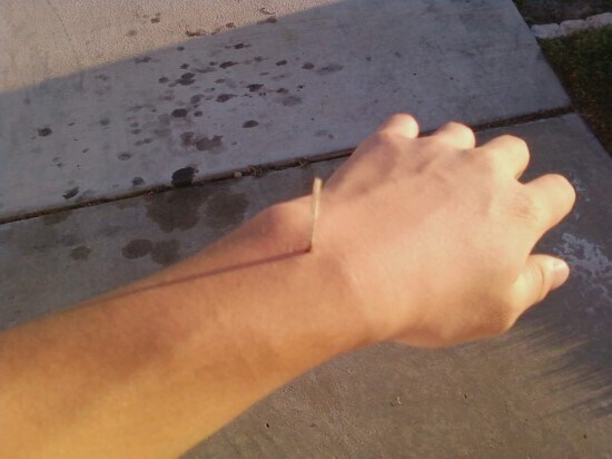 fc8755cb90dd5dae28cfc6d803633a7c_1762244493_4991.jpg fc8755cb90dd5dae28cfc6d803633a7c_1762244493_4991.jpg