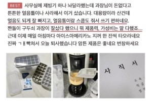 얼음틀 구매후기 feat 사직서